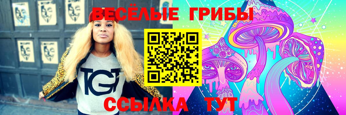купить  цена  Галлюциногенные грибы Magic Shrooms  Вход с VPN  Полысаево 